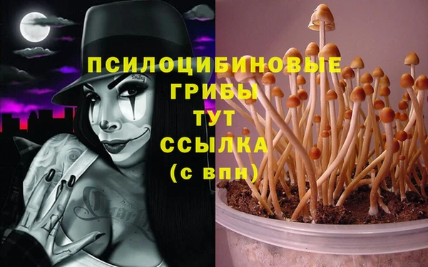 мяу мяу кристалл Алексеевка