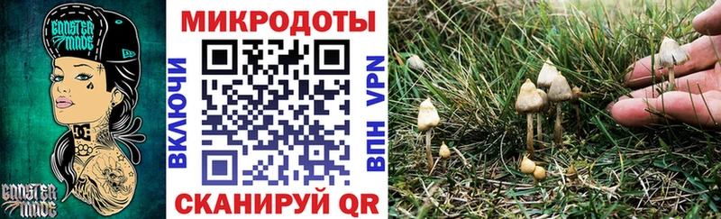 МЕГА рабочий сайт  Тихвин  Псилоцибиновые грибы прущие грибы  как найти  